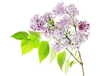 科幻FPS《INDUSTRIA》10月1日发售 体验蒸汽朋克世界